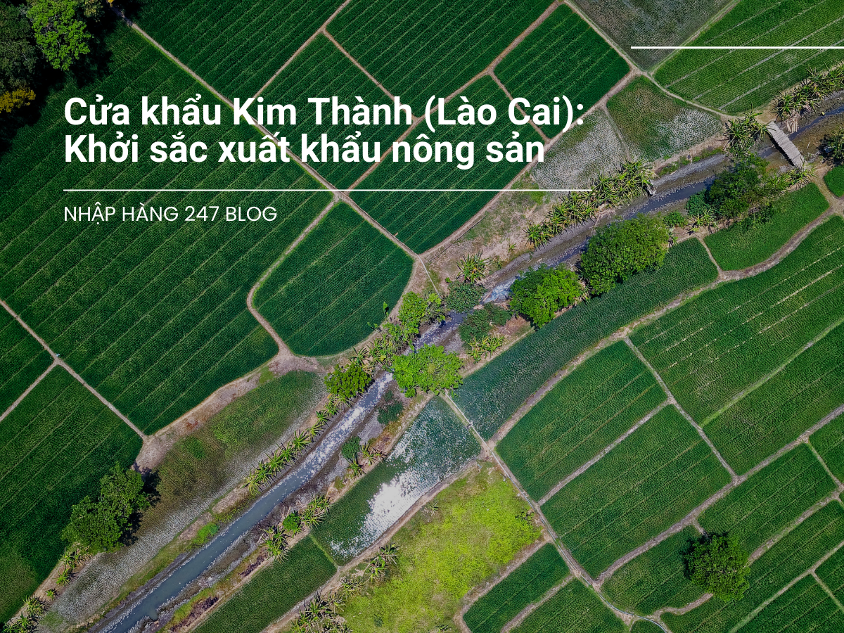 Cửa khẩu Kim Thành (Lào Cai): Khởi sắc xuất khẩu nông sản