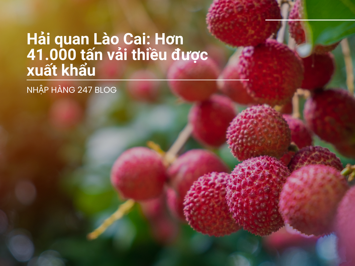 Hải quan Lào Cai: Hơn 41.000 tấn vải thiều được xuất khẩu