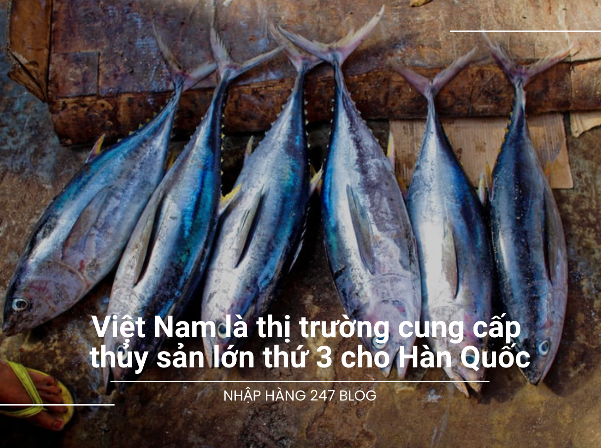 Việt Nam là thị trường cung cấp thủy sản lớn thứ 3 cho Hàn Quốc