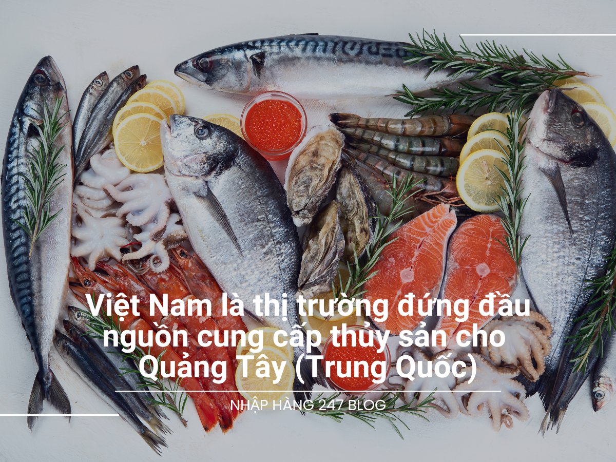 Việt Nam là thị trường cung cấp thủy sản top 1 cho Quảng Tây (Trung Quốc)