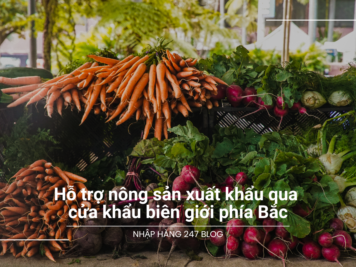 Hỗ trợ nông sản xuất khẩu qua cửa khẩu biên giới phía Bắc