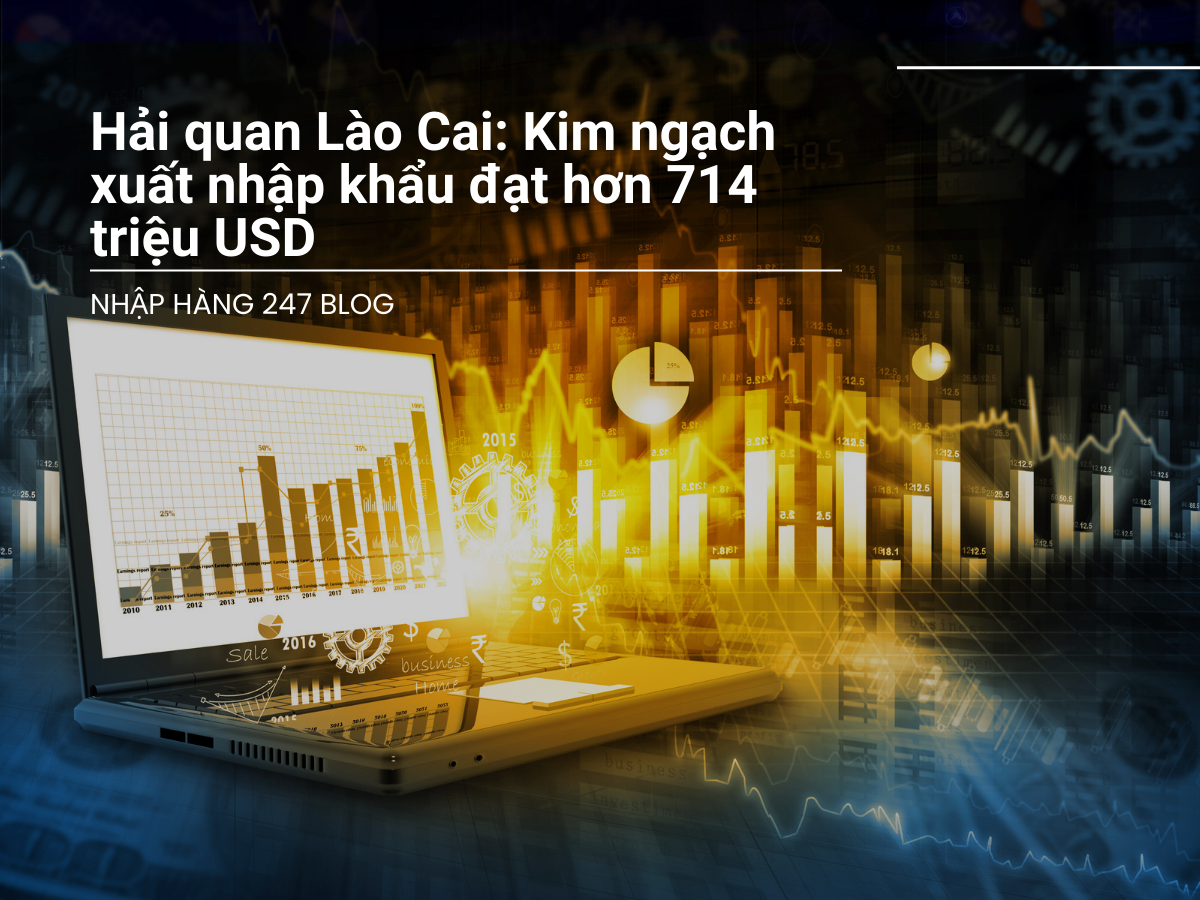 Hải quan Lào Cai: Kim ngạch xuất nhập khẩu đạt hơn 714 triệu USD