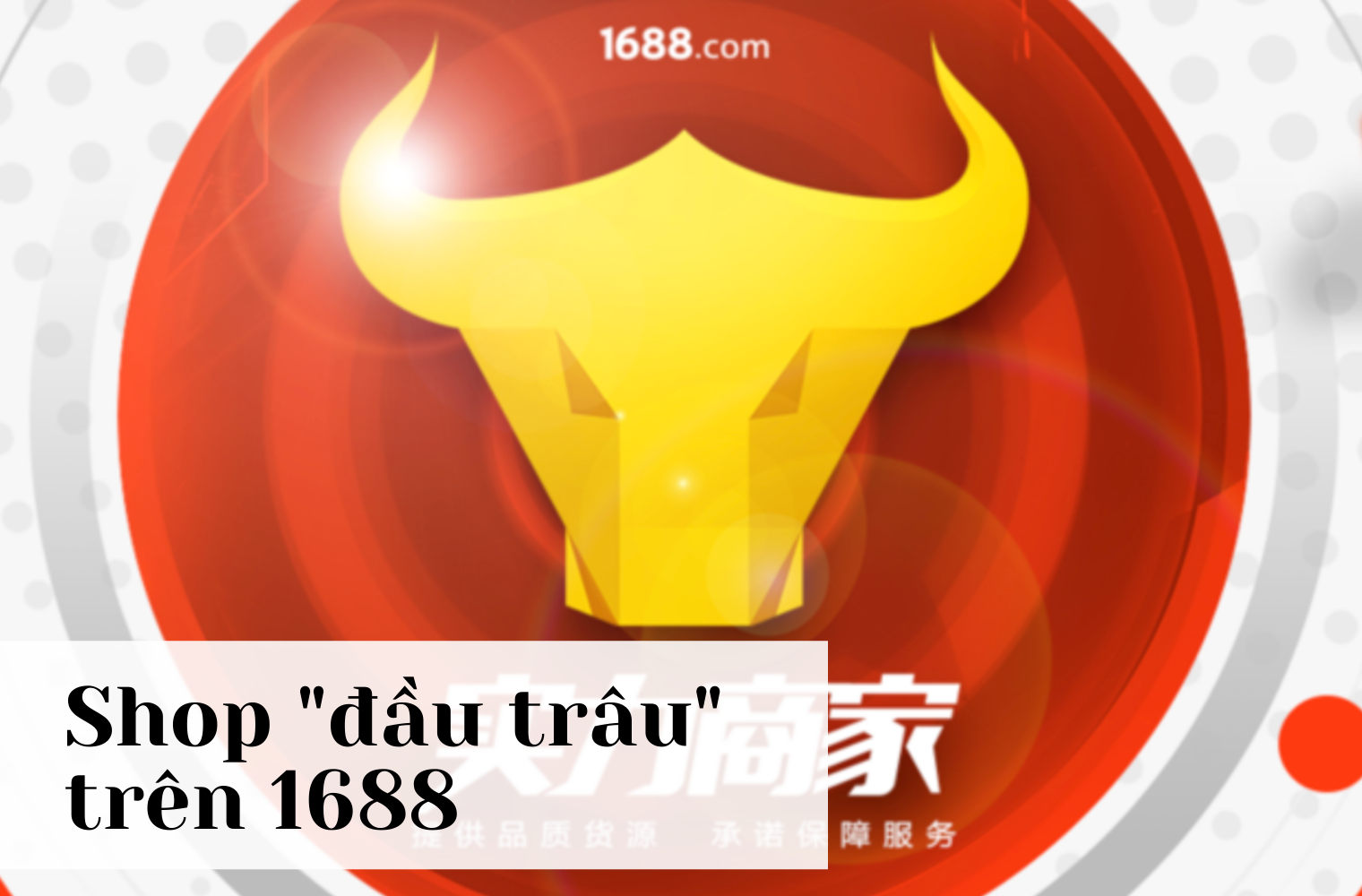 Shop “đầu trâu” trên 1688 và những điều nên biết 