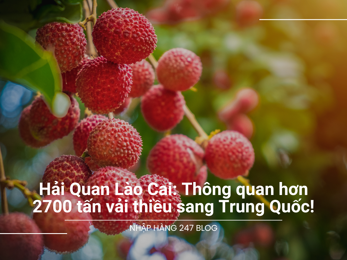 Hải Quan Lào Cai: Thông quan hơn 2700 tấn vải thiều sang Trung Quốc!