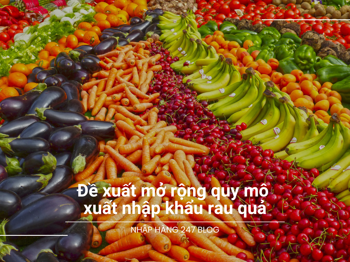 Đề xuất mở rộng quy mô xuất nhập khẩu rau quả tại  9 cặp cửa khẩu Việt Nam - Trung Quốc