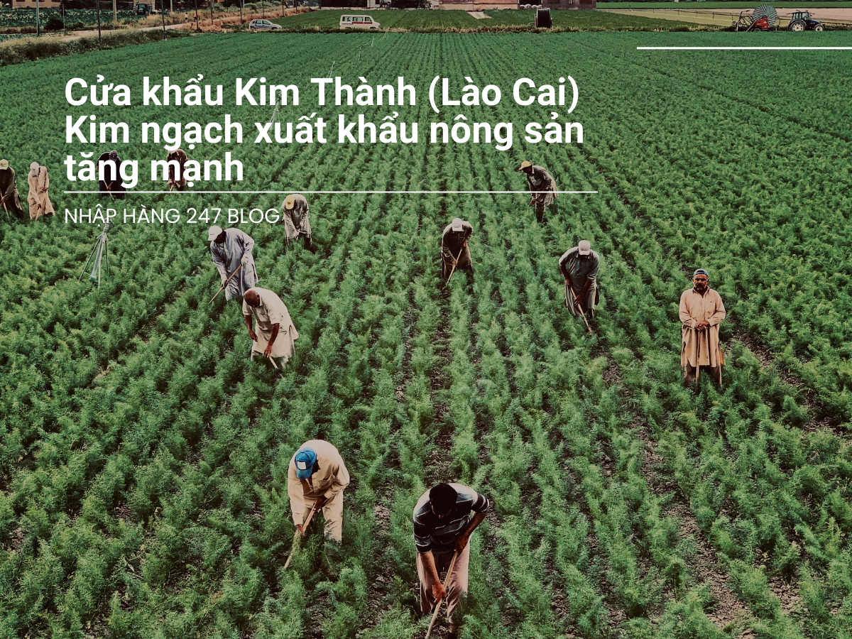 Cửa khẩu Kim Thành (Lào Cai): Kim ngạch xuất khẩu nông sản tăng mạnh