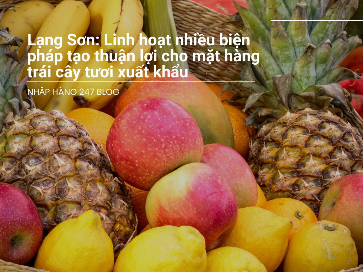 Lạng Sơn: Linh hoạt nhiều biện pháp tạo thuận lợi cho mặt hàng trái cây tươi xuất khẩu