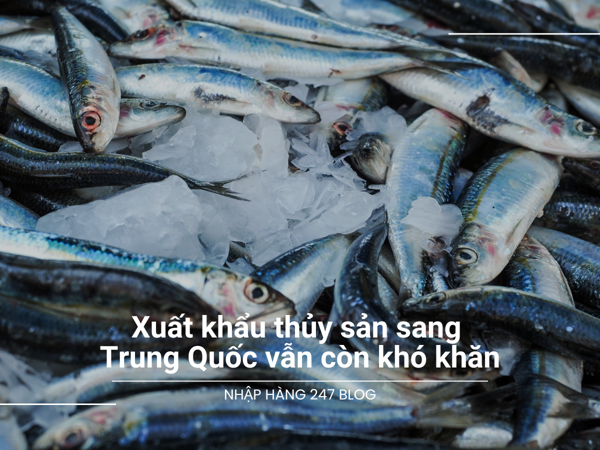 Xuất khẩu thủy sản sang Trung Quốc vẫn còn khó khăn