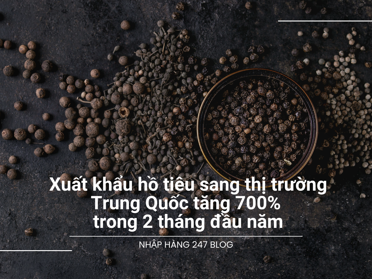 Xuất khẩu hồ tiêu sang thị trường Trung Quốc tăng 700% chỉ trong 2 tháng đầu năm