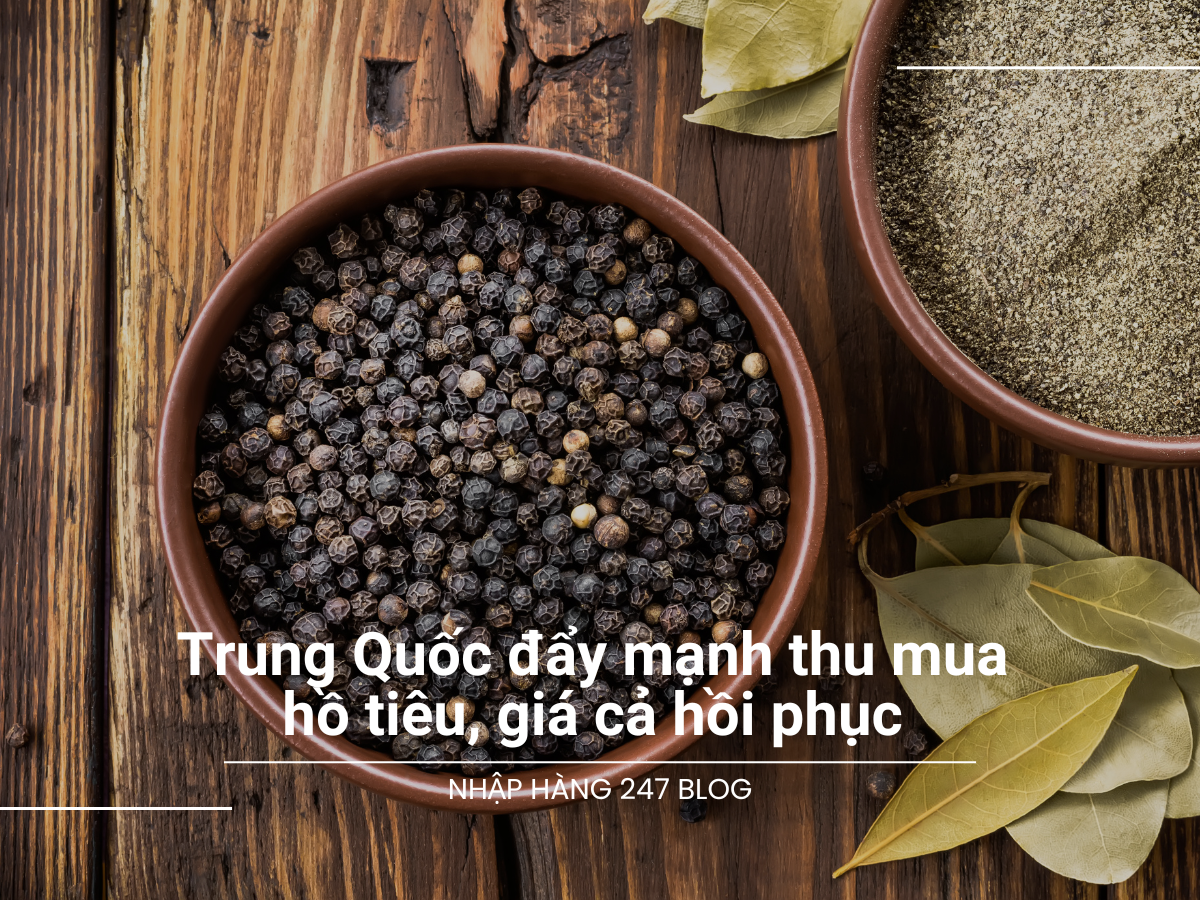 Trung Quốc đẩy mạnh thu mua hồ tiêu, giá cả hồi phục 