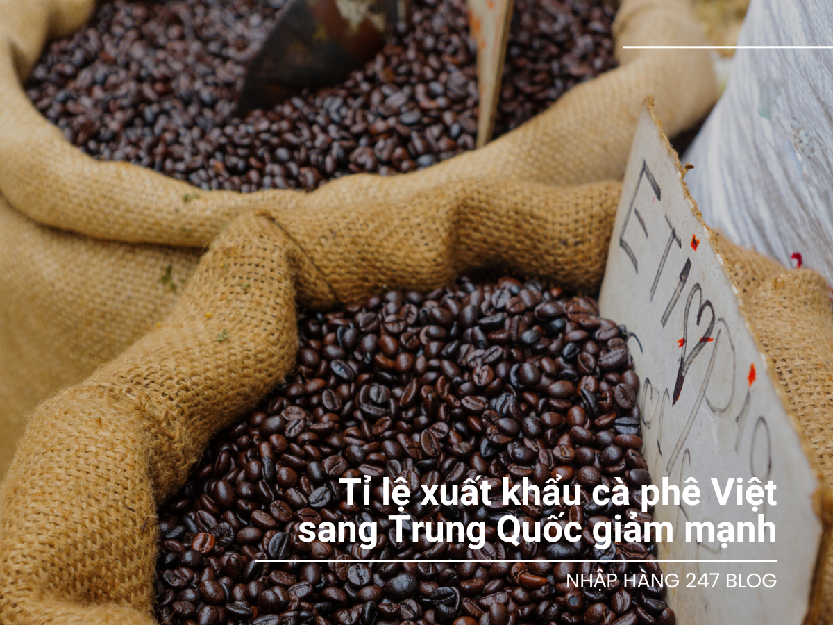 Tỉ lệ xuất khẩu cà phê Việt sang Trung Quốc bị giảm mạnh